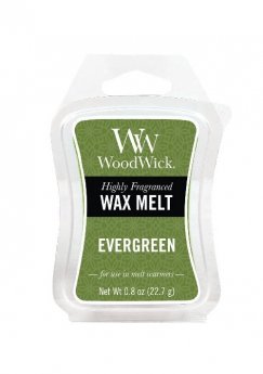 Vosk do aromalampy Evergreen