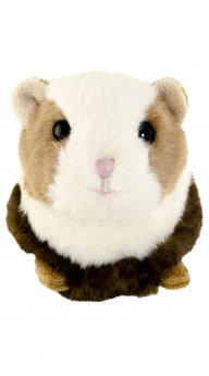 Morče Piggy (12 cm)