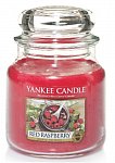 Yankee Candle Red raspberry (1)