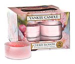 Yankee Candle Cherry blossom (6)