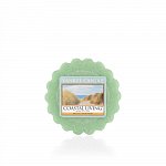 Yankee Candle Coastal living (2)