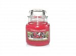 Yankee Candle Red raspberry (4)