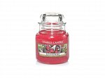 Yankee Candle Red raspberry (4)