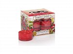 Yankee Candle Red raspberry (9)