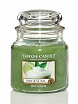 Yankee Candle Vanilla lime (1)