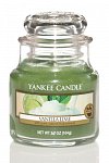 Yankee Candle Vanilla lime (4)